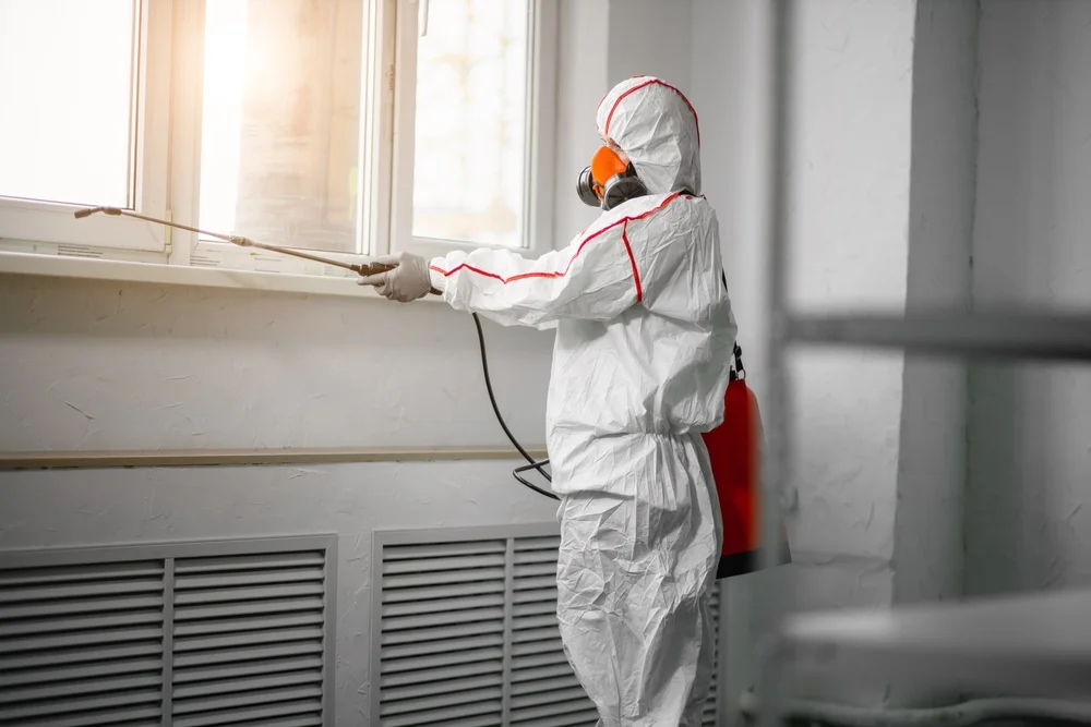 Professional mold remediation services in West Nottingham, NH